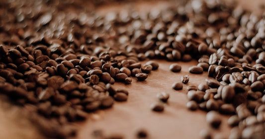 Fresh Roasted Coffee Beans Shipped to Your Door
